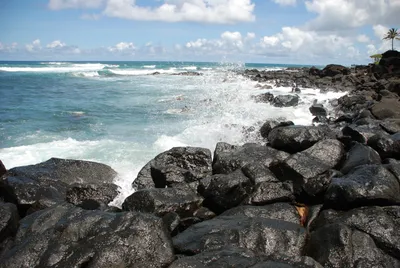 2007_05_30_HAWAII (44) (Large).JPG